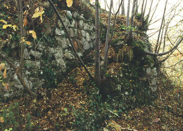 Torre di S. Giustina: resti della scala di accesso alla torre
