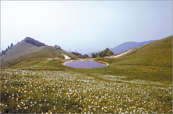 Tipico paesaggio delle Prealpi Trevigiane nell'area di Col di Varnada