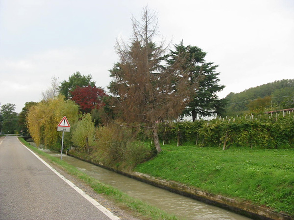 Stradone del Bosco e canale Brentella
