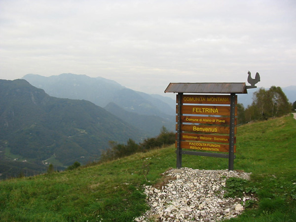 Cima del Monte Tomba, sullo sfondo le Alpi